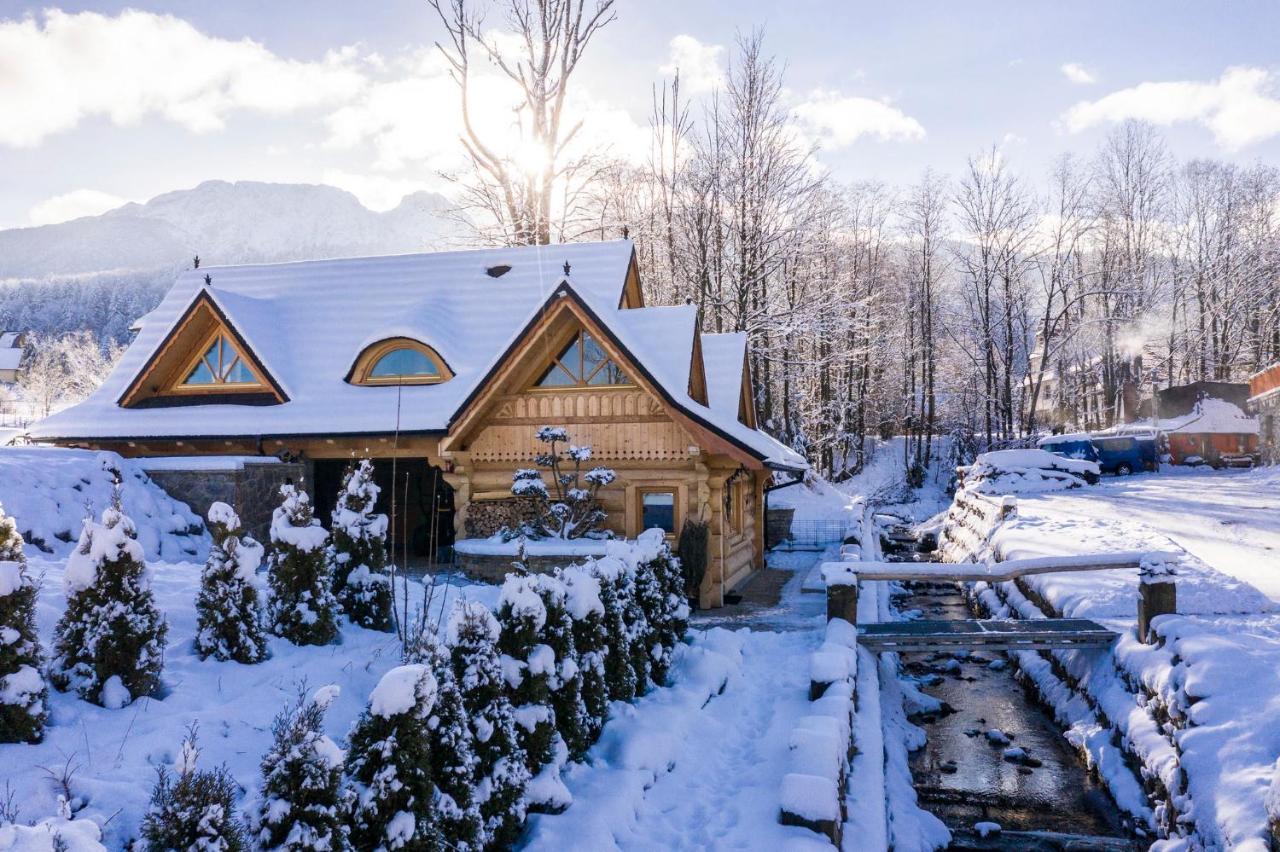 Udanypobyt Domki Przy Potoku Zakopane Exterior foto